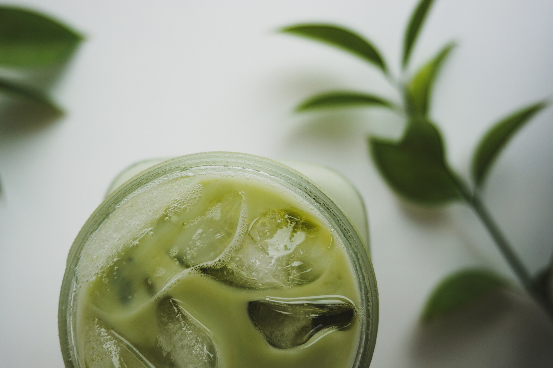 OasisThe-Infusion-a-froid